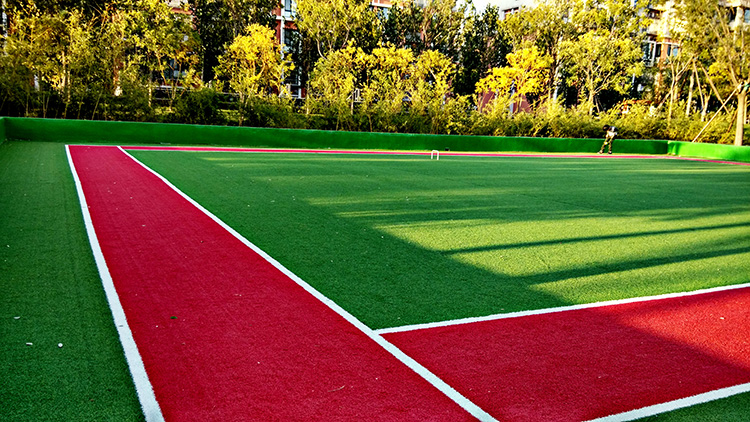 人造草門球場 人造草門球場